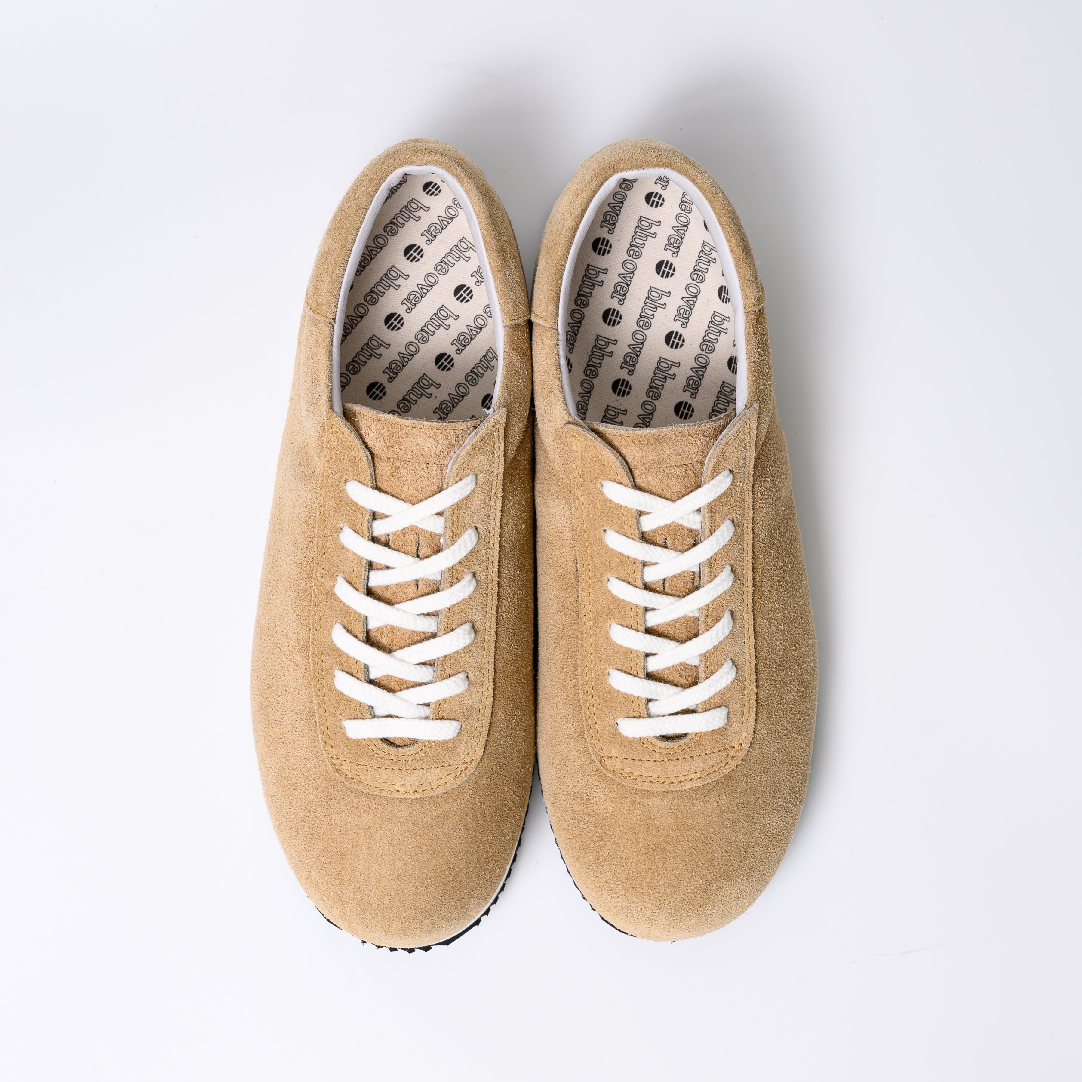 みんなのマイキー キャメル